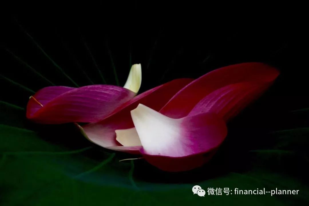 一襲素顏蓮花處,纖手撥朱弦.若水涓涓音清婉,吟詩句,守清歡.