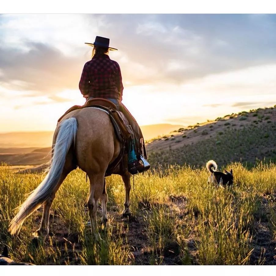 牛仔的世界狂放不羁信马由缰肆意人生