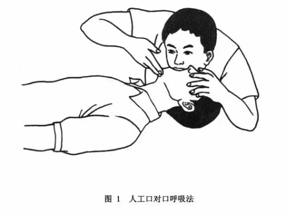 唱歌为了押韵老外啥事儿都做得出来