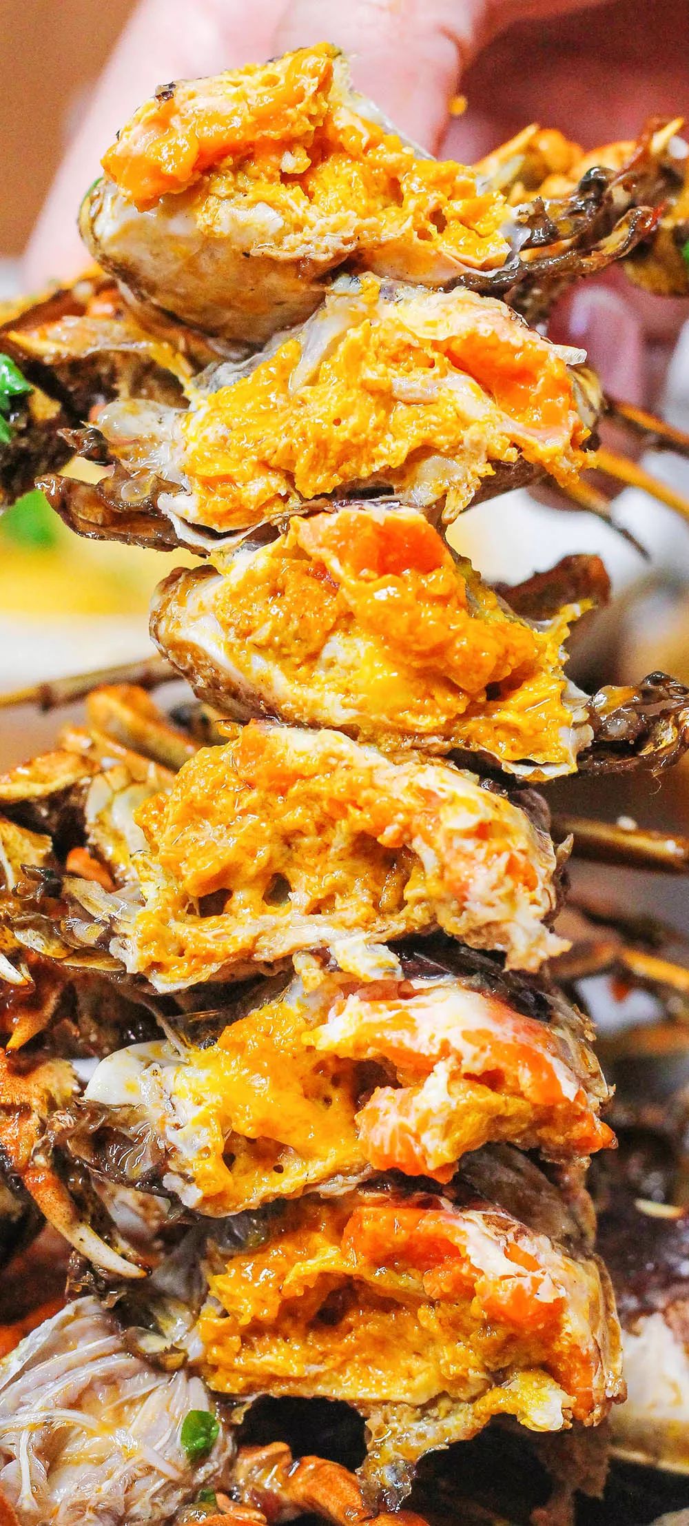 海鲜拼盘真的不是跟你们逗着玩点上这一份你绝对是在赚钱!