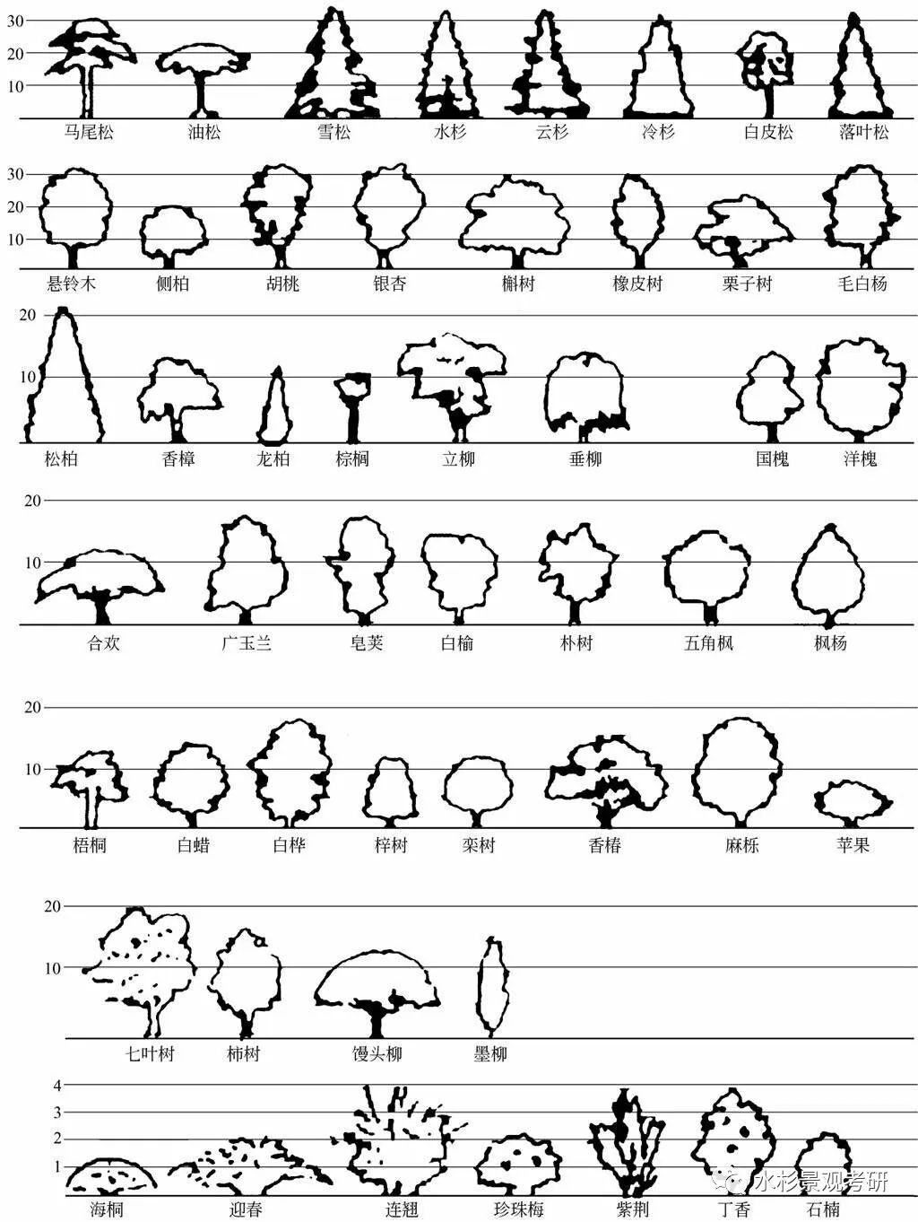 【水杉学院】植物设计第二课:细说园林植物景观空间的构成属性及形态