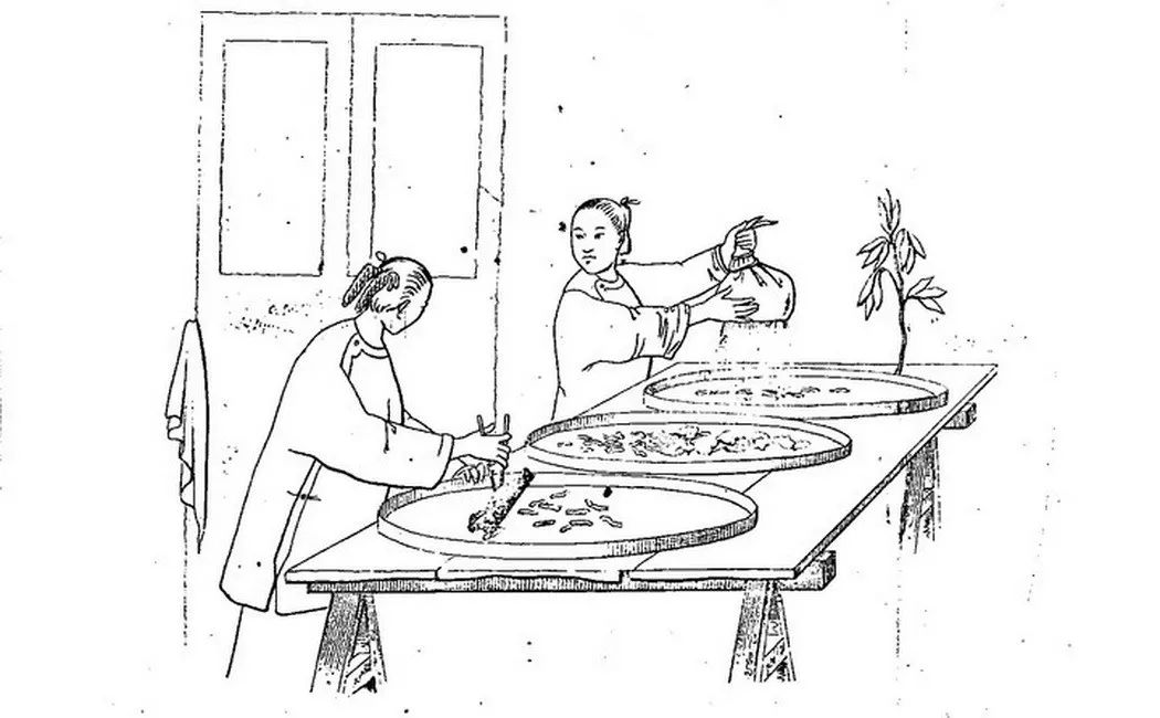 养蚕此词将重阳药市跟成都最热闹的全民节日花溪纵赏相提,与薛田诗句"