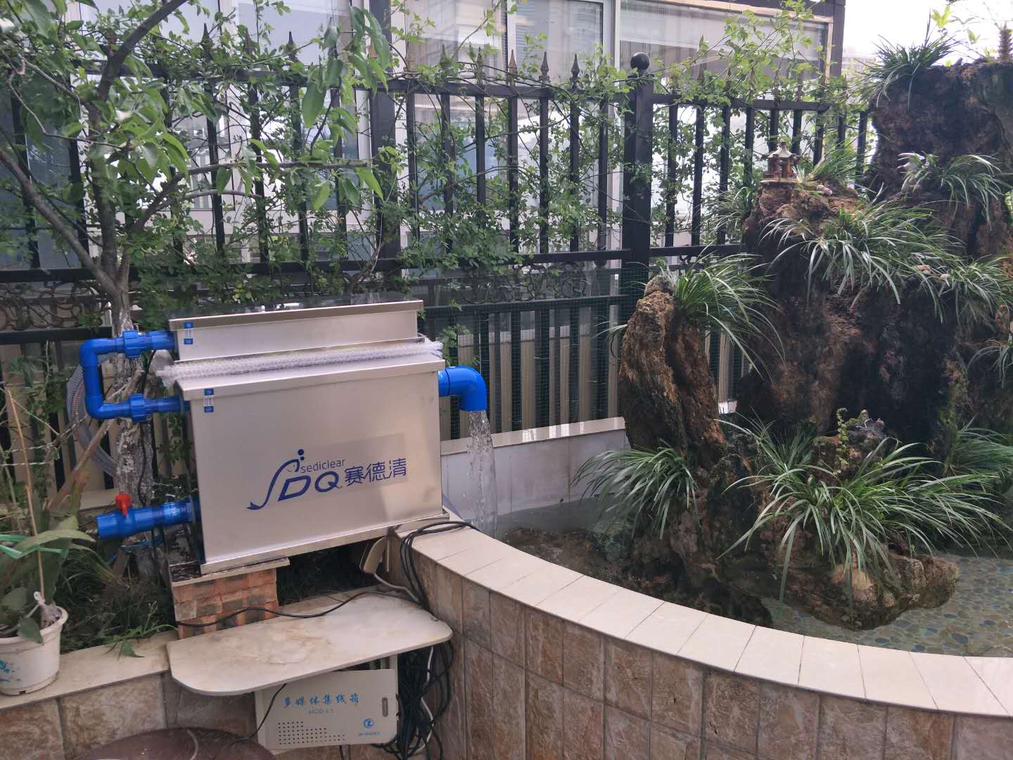 选购锦鲤还要考虑锦鲤的性格