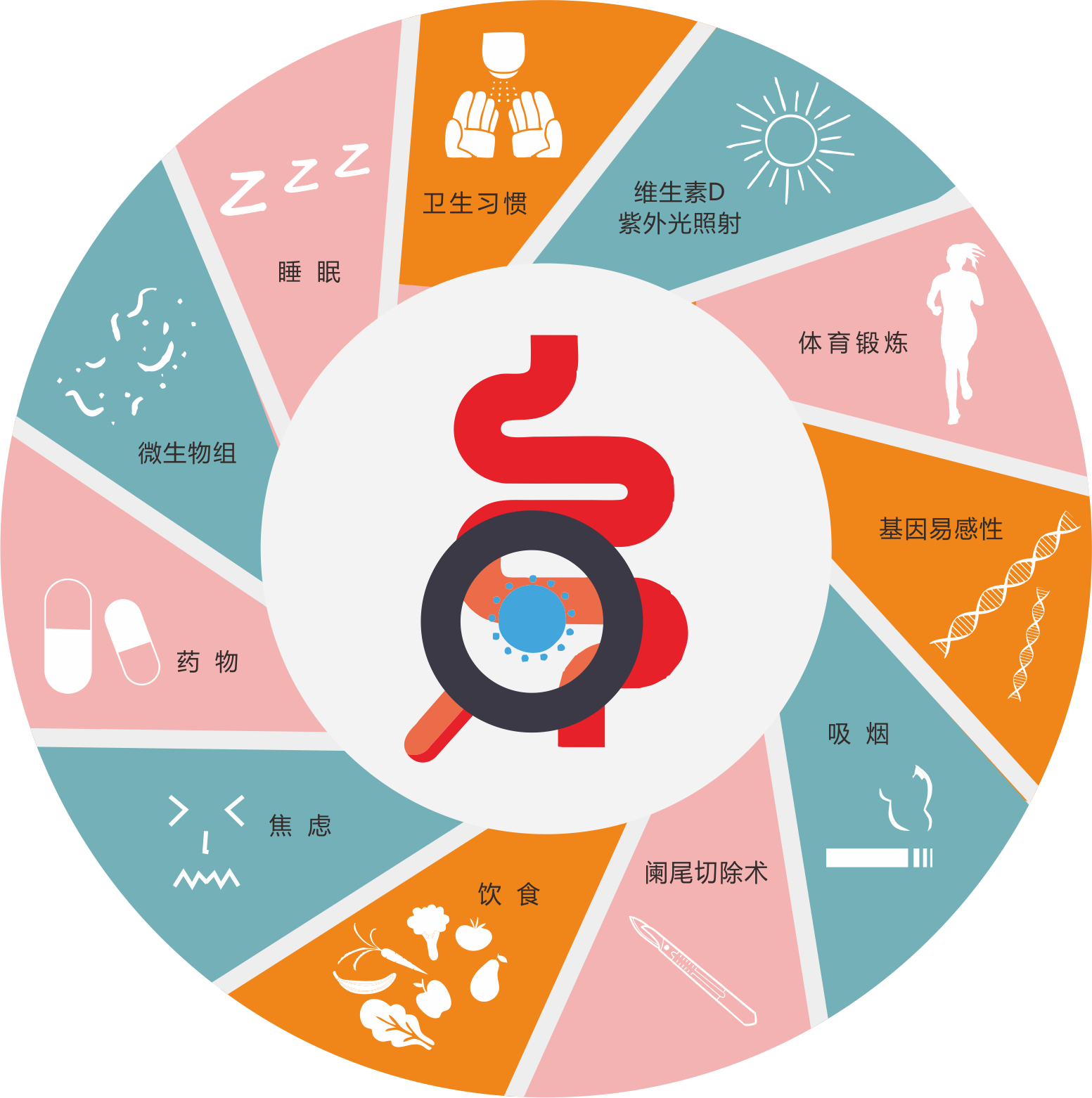 乳酸菌的多少决定人体健康?_生态学