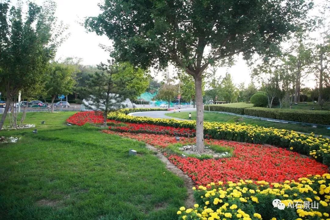 石景山花坛加入国庆夸夸群祝福伟大祖国