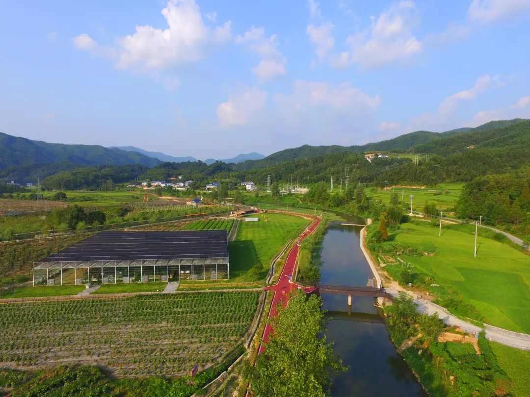 桂花生態園園區總面積2000餘畝,由休閒體驗區,現代農業示範區,旅遊