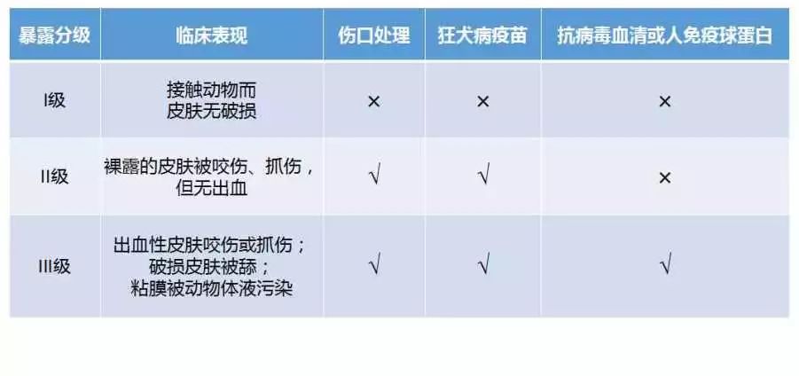 不同暴露程度的處理原則必要時同時注射抗狂犬病血清或人免疫球蛋白.