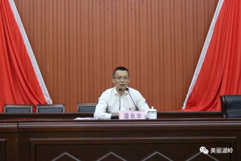 湖岭镇举办镇机关干部与村社干部"不忘初心牢记使命"主题教育培训会_