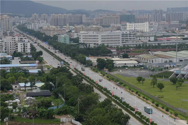 新会这些旧照片,还记得吗?