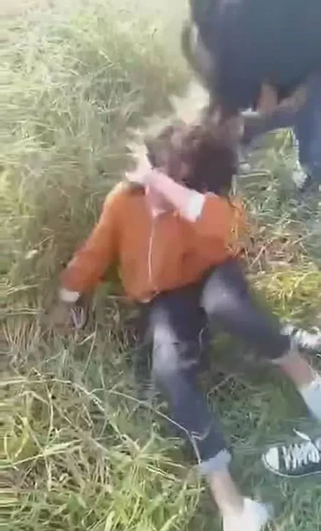 网传一女生遭受校园暴力通报来了事发廊坊