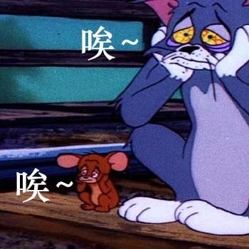 猫和老鼠表情包合集|怎么肥事小老弟