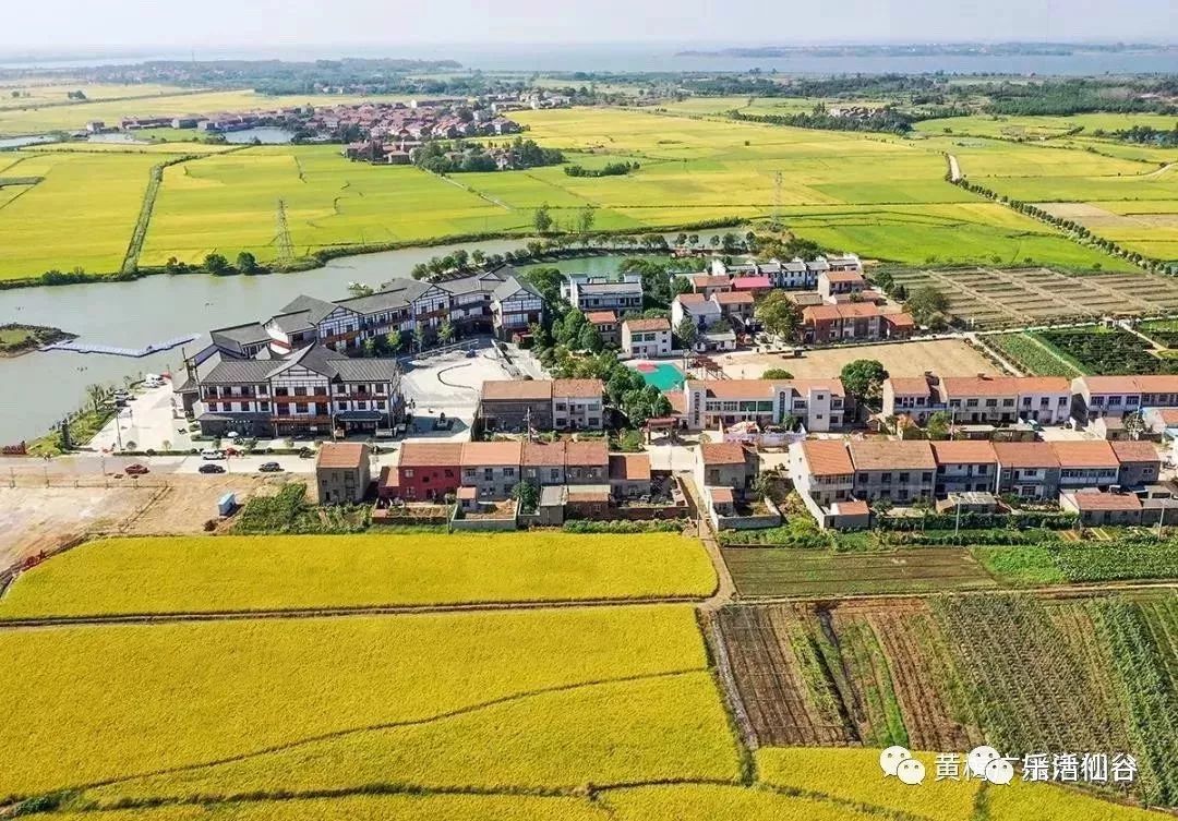 乐活仙谷丰收节