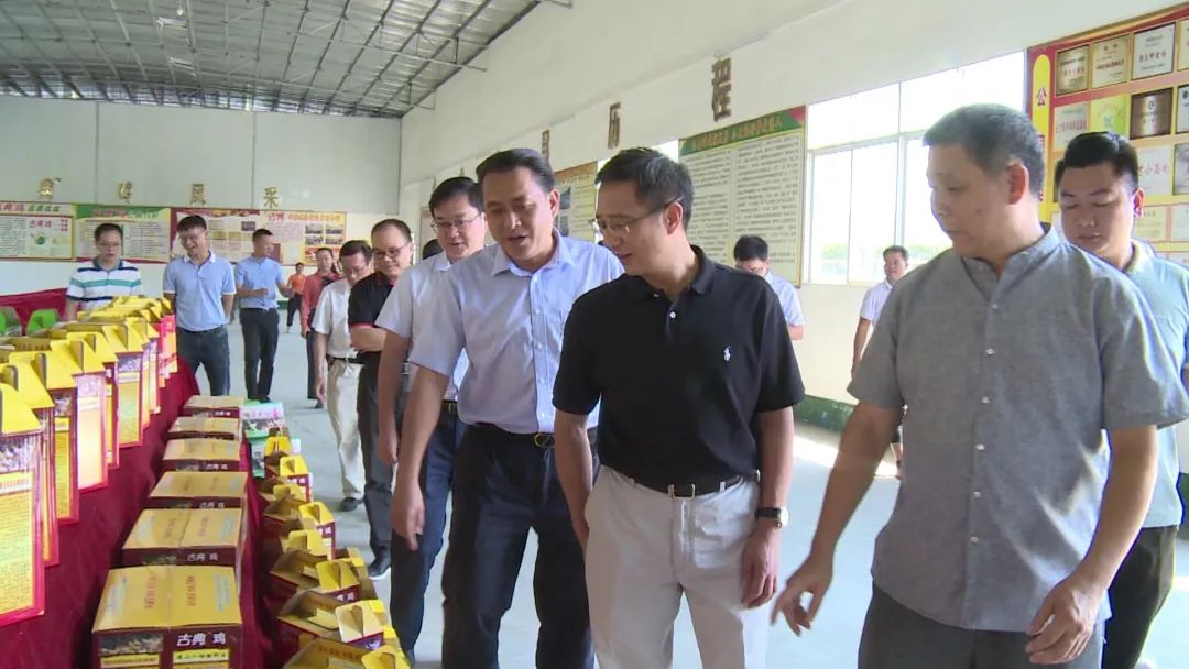 李杰云在我市市委书记罗伟雄,市长吴伟华的陪同下来到市外贸鸡场有限