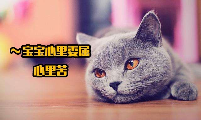 每天心情很糟糕原来是因为