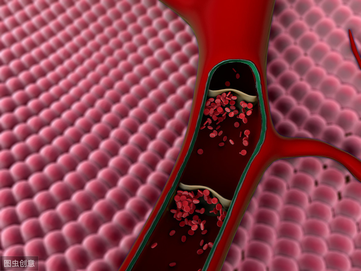 北京昌平北城中医医院为你详细介绍_动脉