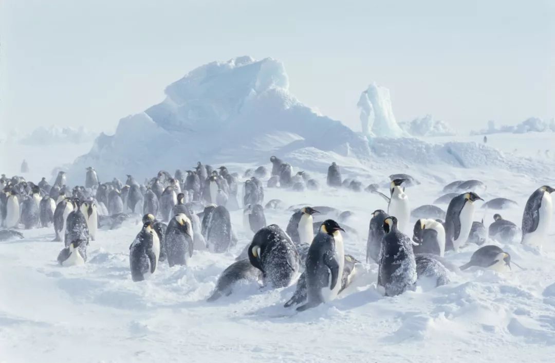 丰都极地冰雕展一生至少一次的冰雪浪漫