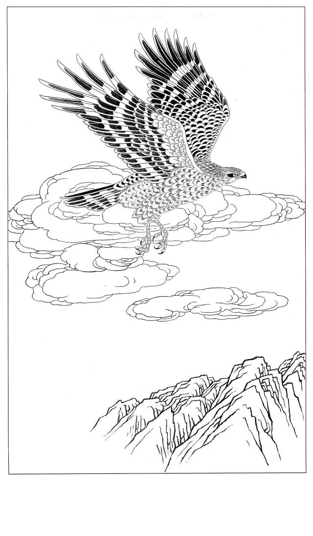 工笔画素材鹰白描图