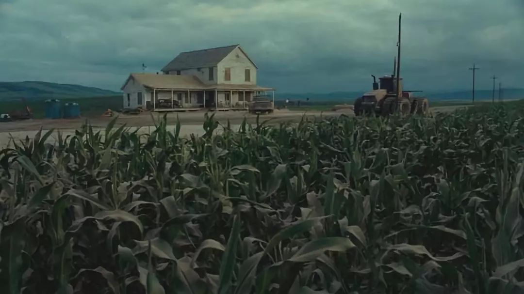 像《星际穿越》中,诺兰不想用cg制作玉米地,于是干脆种了一片出来,还