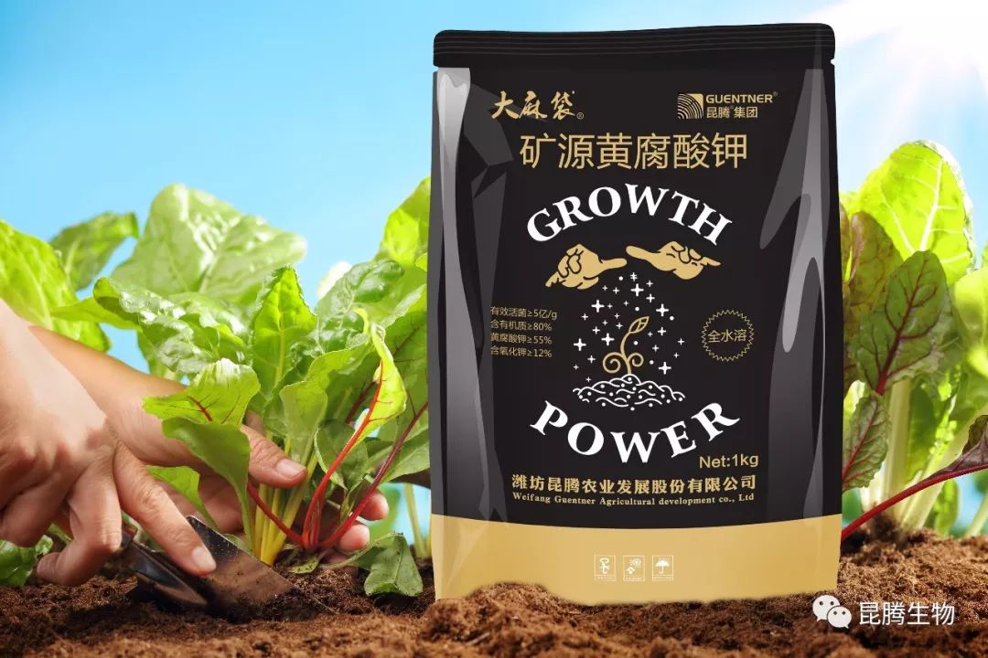 1公斤黄腐酸钾=8吨有机肥!这么牛逼的肥料背后的秘密