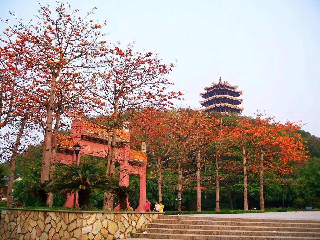 投票丨快来点赞pick出你心目中东莞最具人气景区