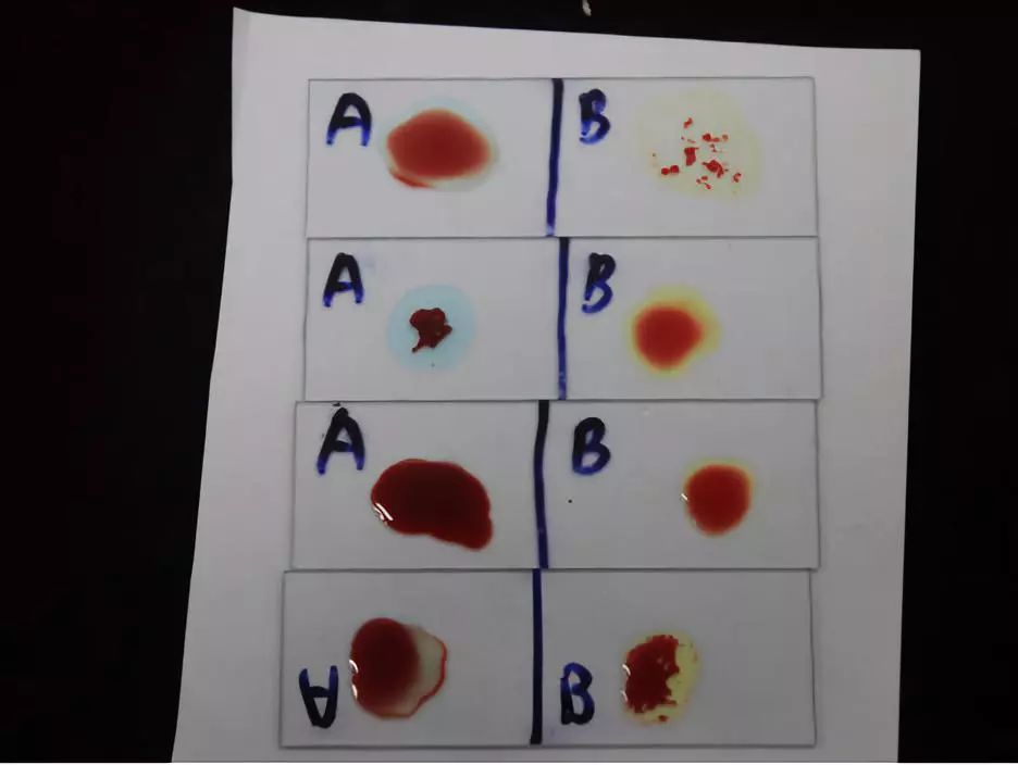 我在上海做小法官华东政法大学