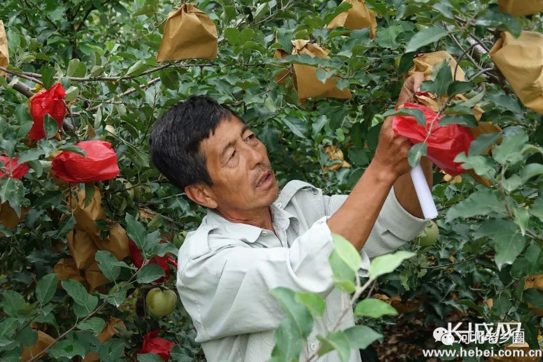 承德县这个村出名了,迎来大变样._苇子峪村