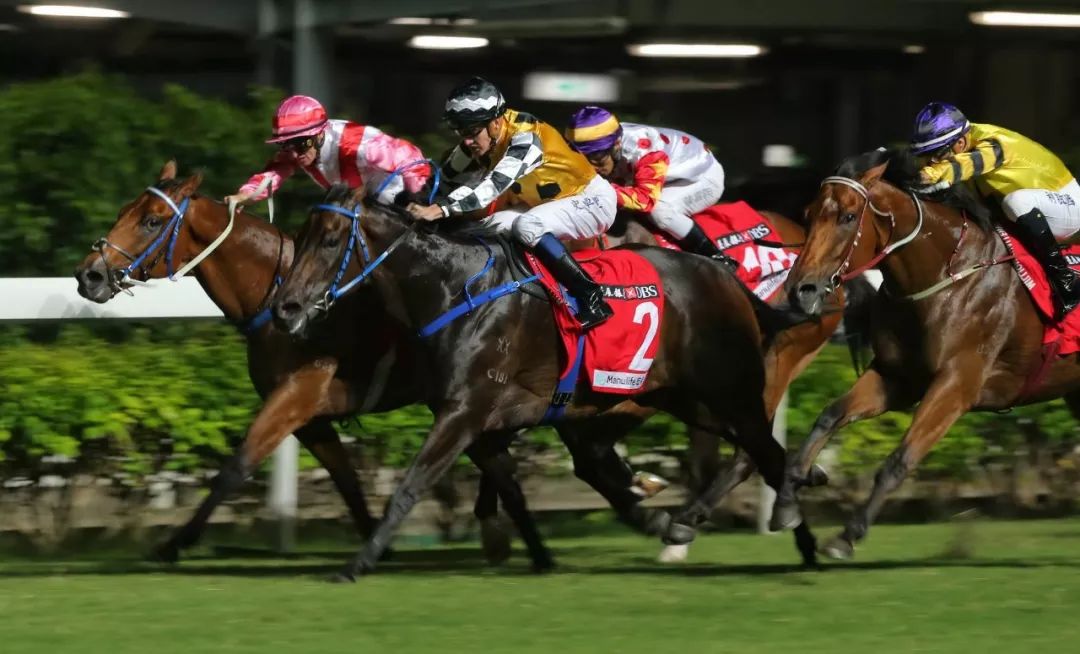 跑马地赛事天时地利人和助何良破闷局