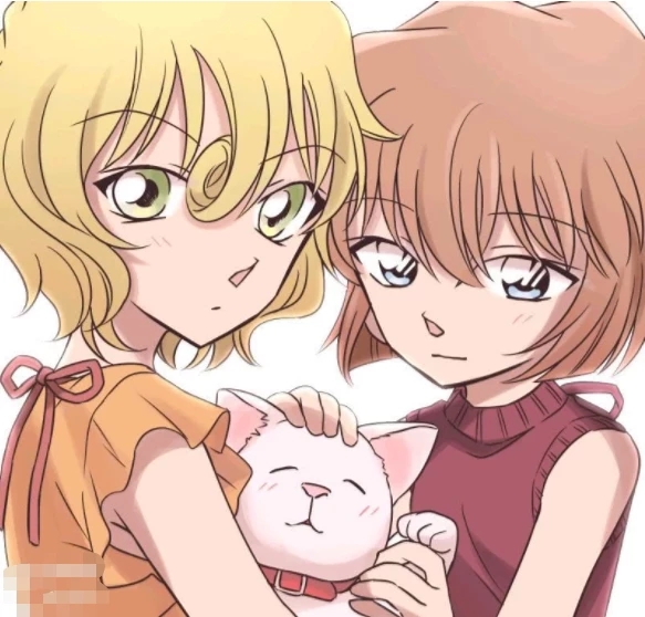 但是哥哥的战斗力却是妹妹的三倍之多,并且赤井秀一开车和瞄准凶手的