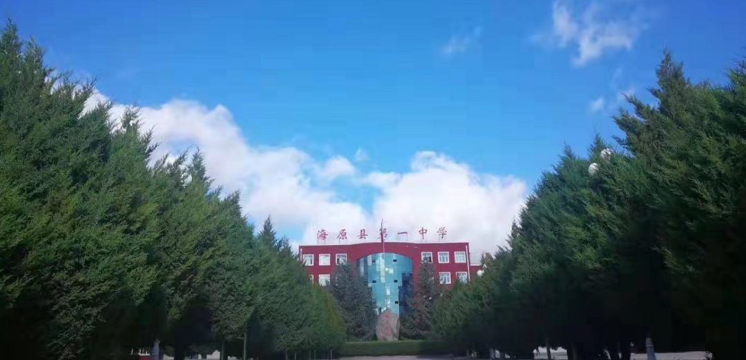 【关注】海原一中这个班火了,她们用这样的方式表达爱国