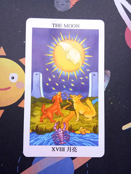 【塔罗牌d:月亮】你们当初也是爱得轰轰烈烈,可是到了恋爱的后期,两个