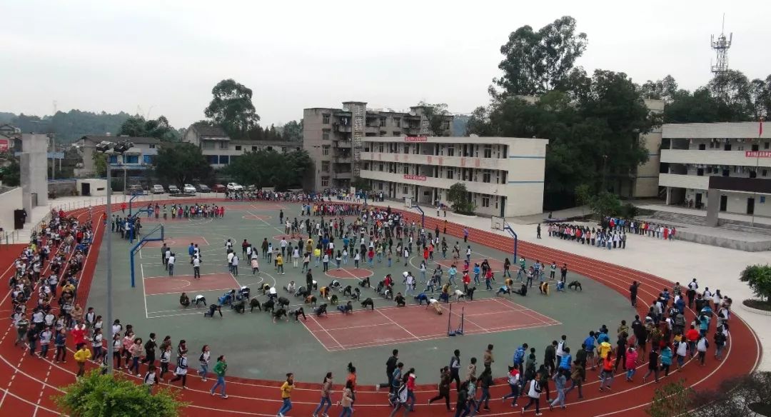 壮丽70年奋斗新时代记沙湾区踏水镇发展路程