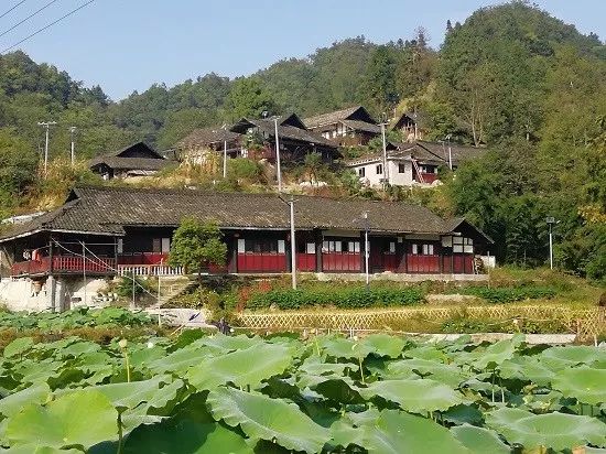 相机争相拍摄……9月24日,沿河自治县泉坝镇组织全镇61名驻村干部,第