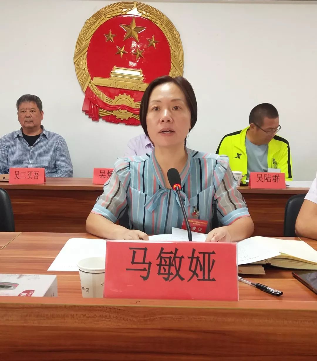 镇党委书记马敏娅作重要讲话马敏娅书记指出,要全面贯彻落实本次大会