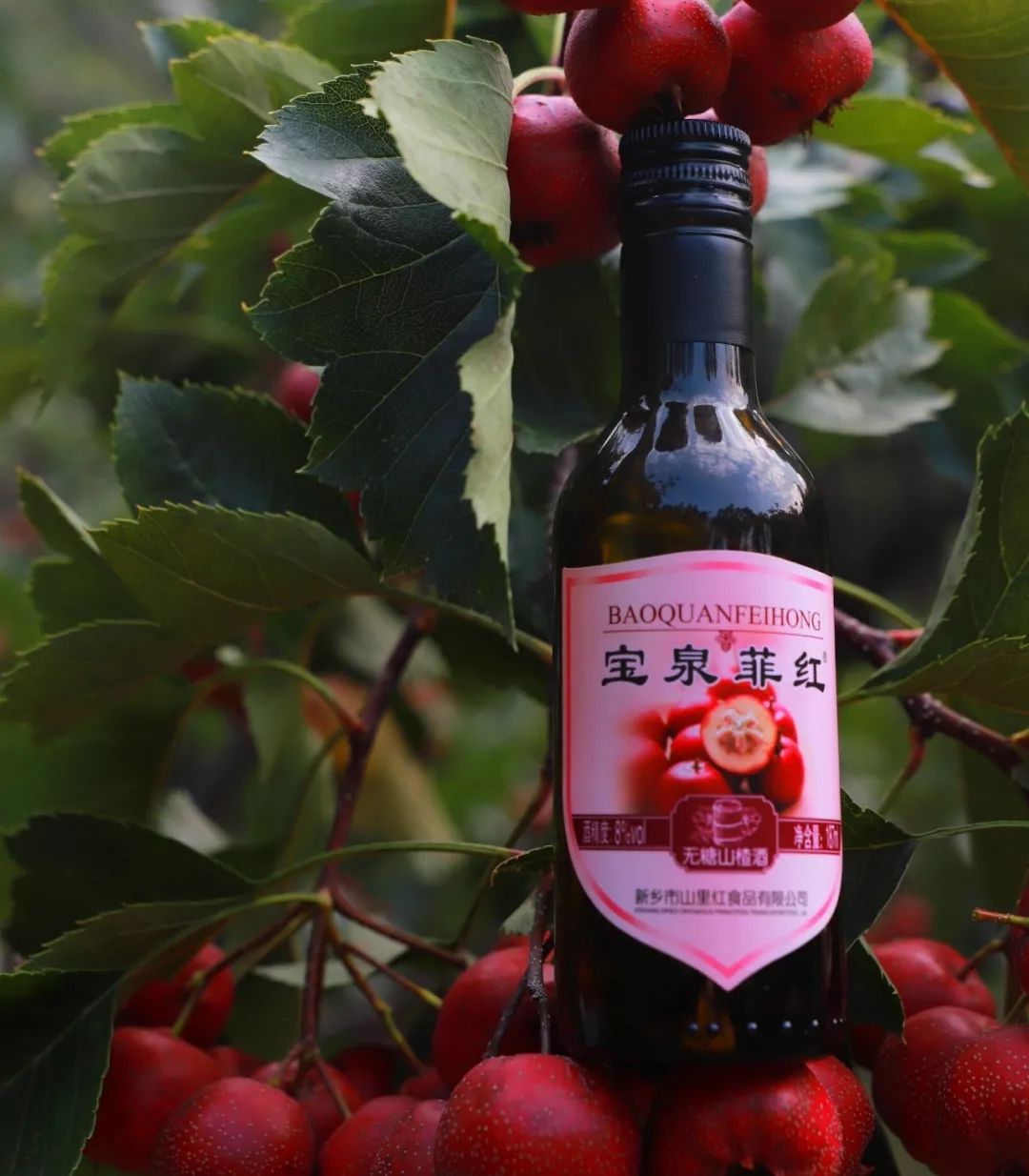 秋来南太行这里一定不会让你失望公益扶贫旅行我们在路上