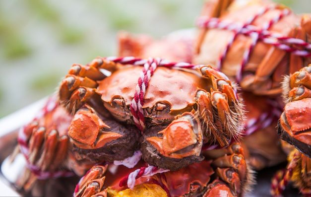 街上的小馆子,都能吃到"巢湖三珍",秋浓蟹肥,巢湖特产的中华绒鳖蟹丝