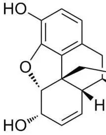 毒品的简笔画 药丸图片