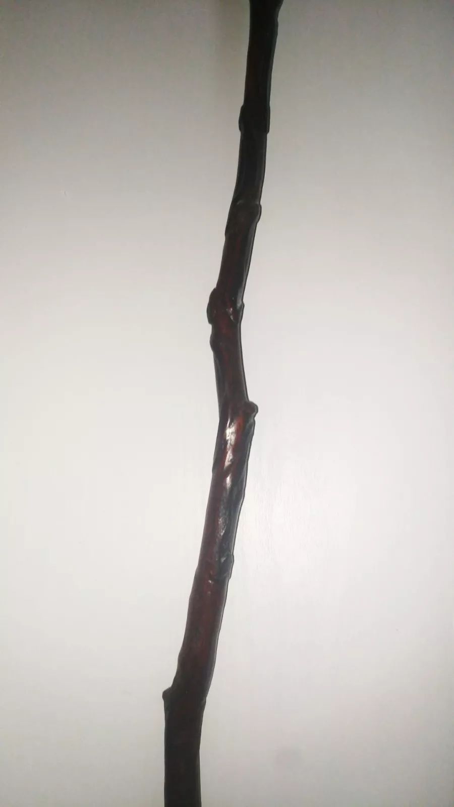 周晓初讲架拐文化你只知道提笼那你真的知道架鸟吗