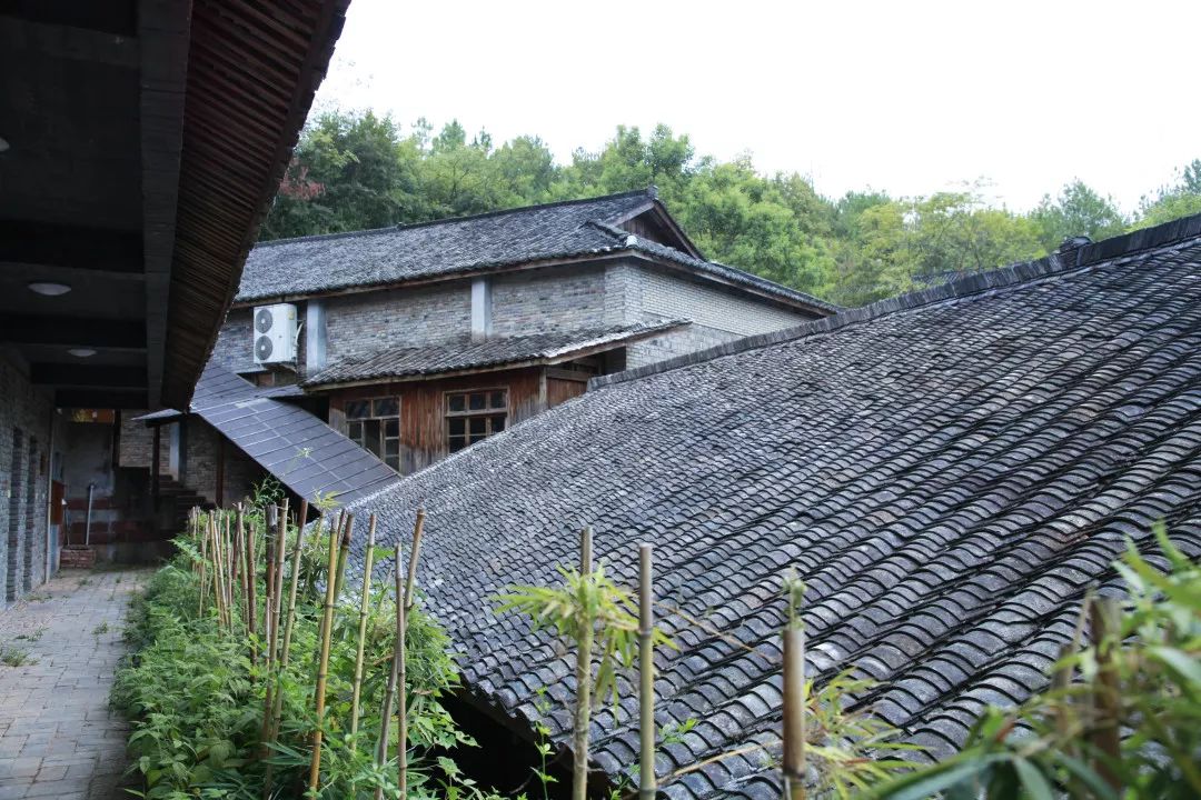 依山傍水的卧龙山庄里,来了一群特别的小孩儿.