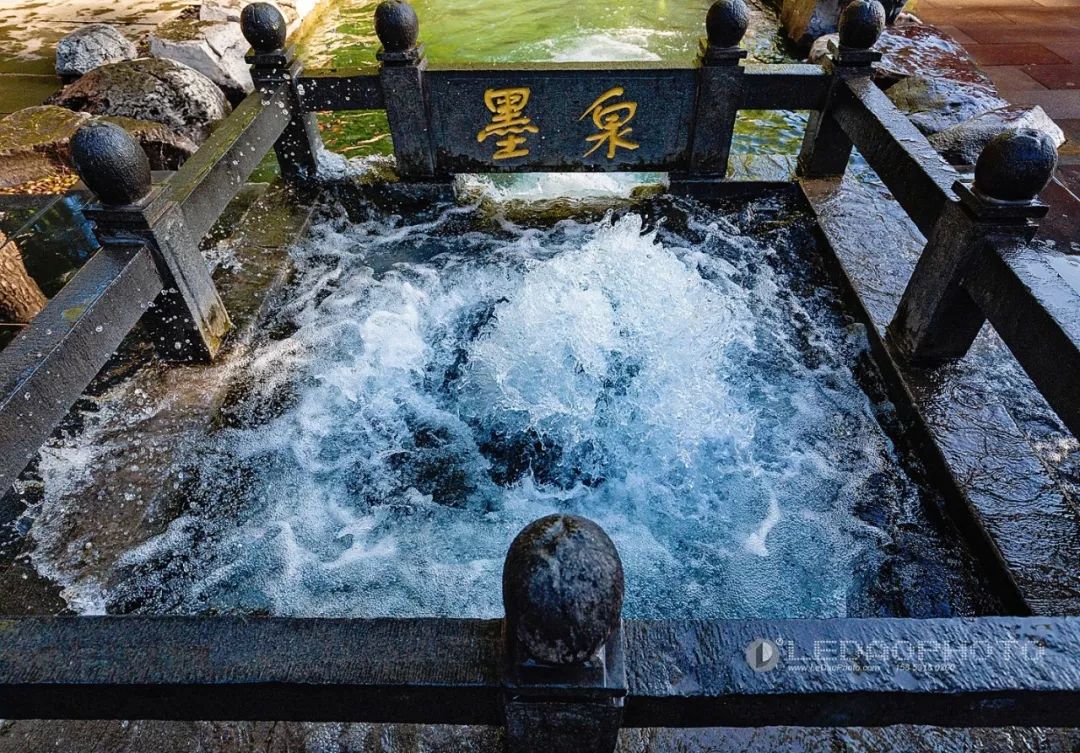 济南新七十二名泉图赏之墨泉及其形态变化