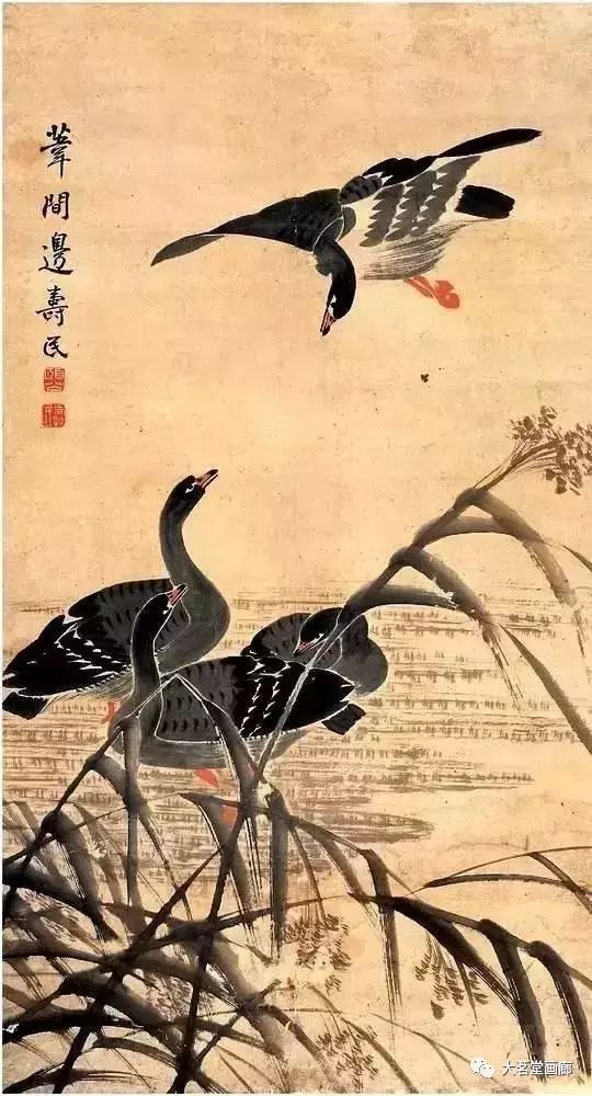 边寿民(1684-1752,江苏山阳(今淮安市楚州区)人,秀才,清代画家.