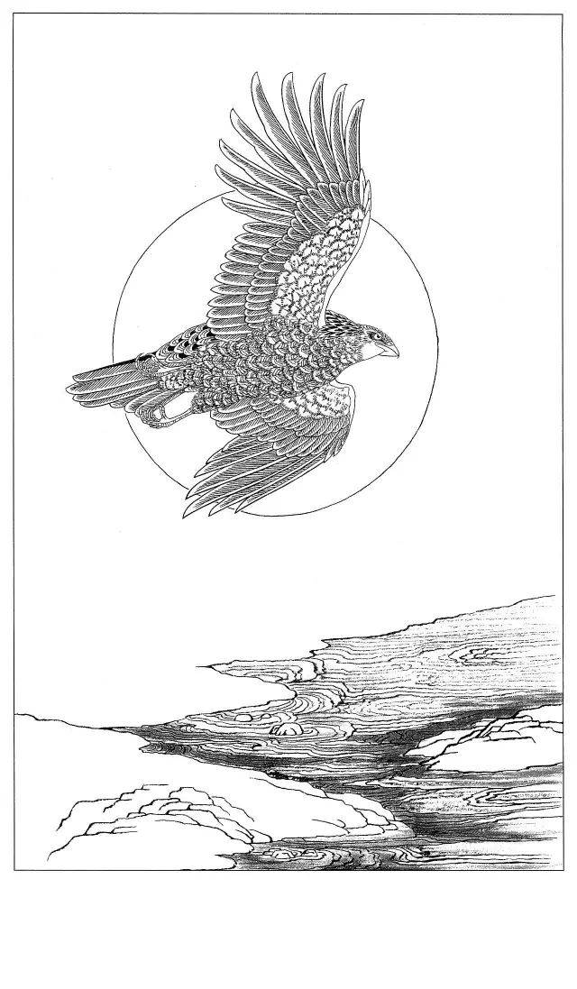 工笔画素材鹰白描图