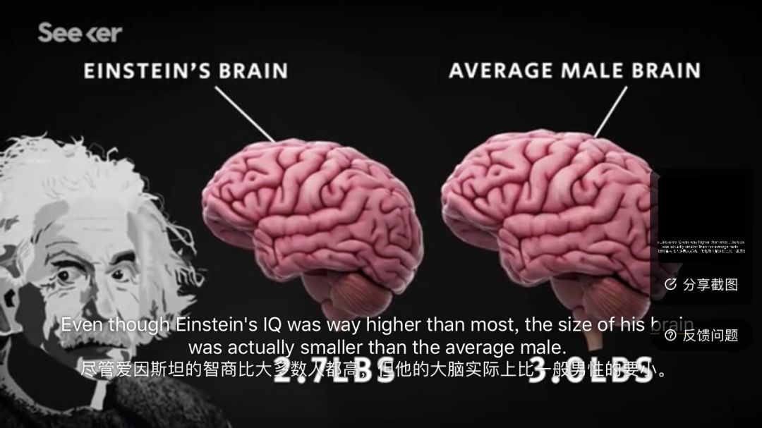 失窃的大脑内附抽奖结果