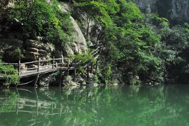 中國猴山,獼猴發源地,濟源五龍口景區_溫泉為