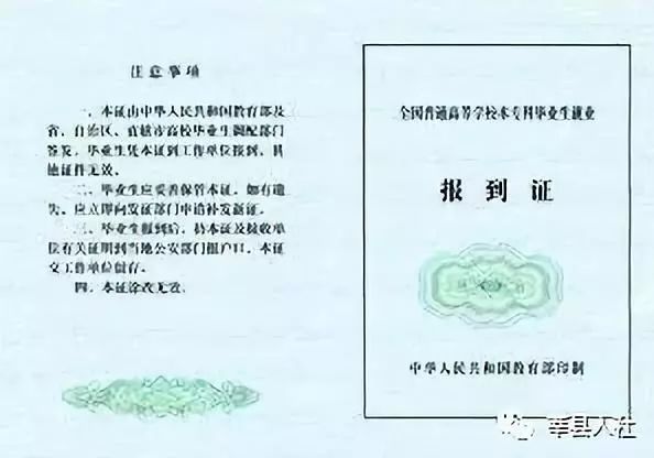 莘县求职新动态：职场新人的新选择