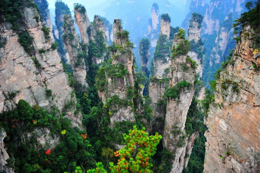 袁家界景區,楊家界景區,世界第一--張家界大峽谷雲天渡玻璃橋,天門山