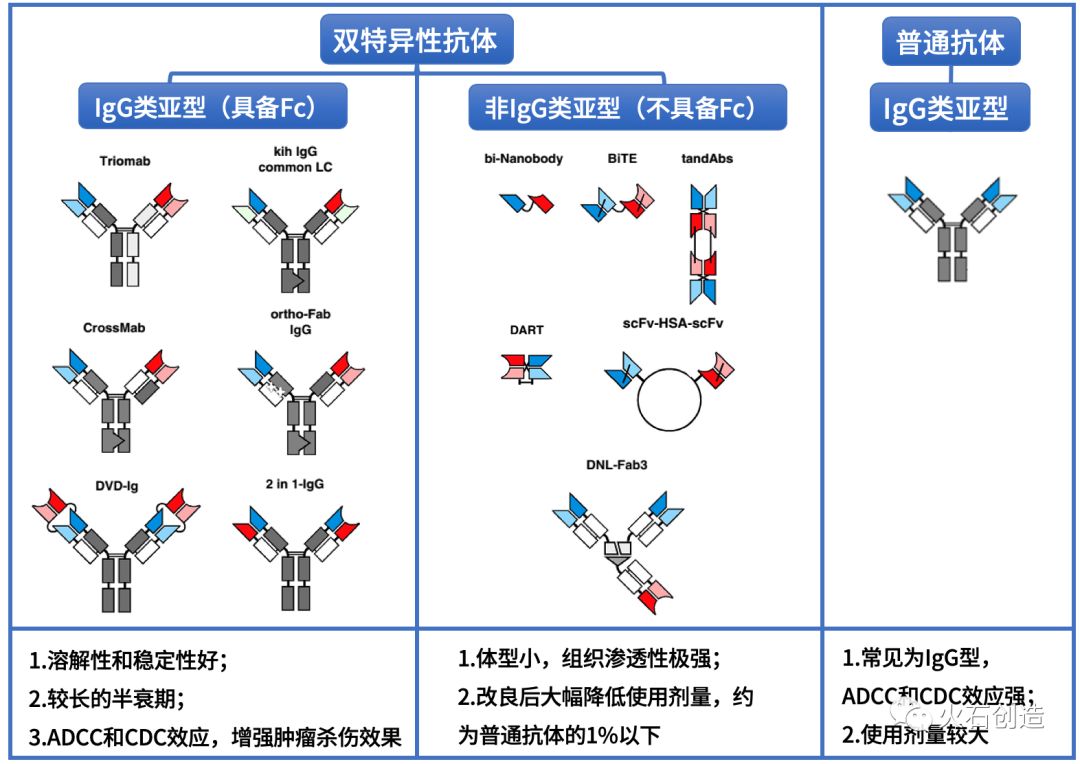 国内外双特异性抗体产业发展现状及趋势