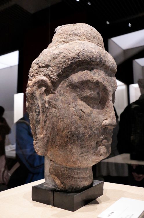 佛头像(侧面) 唐代 美籍华人归还 龙门石窟研究院藏