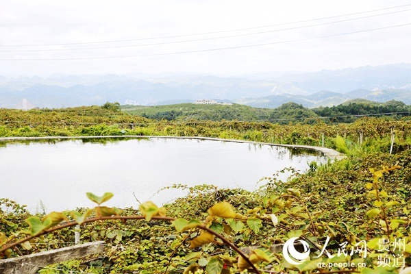修文县久长镇打造绿色生态工业强镇一张蓝图绘到底