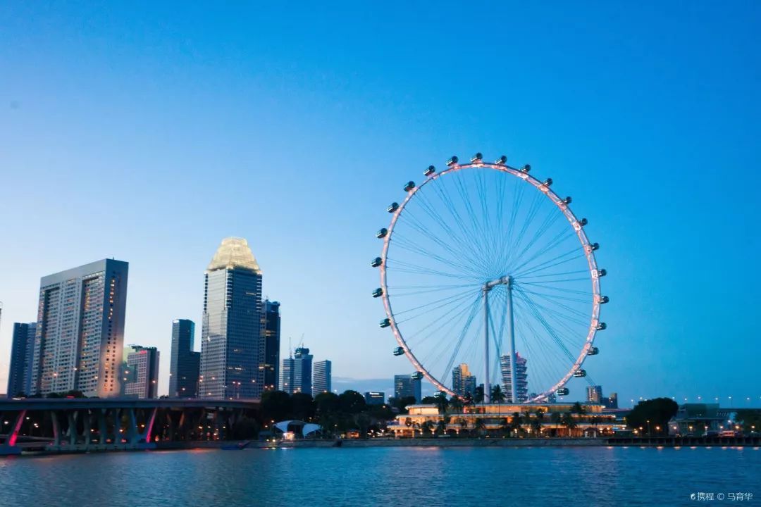 新加坡摩天觀景輪 singapore flyer