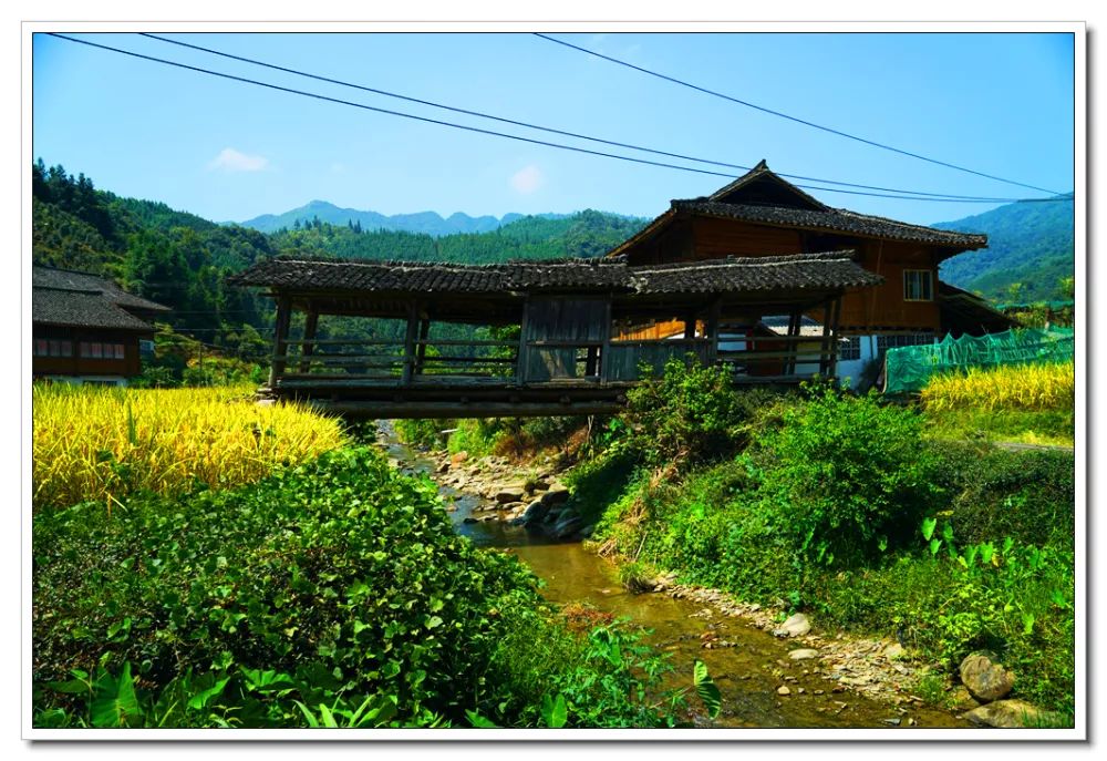 图说龙胜的这些桥三